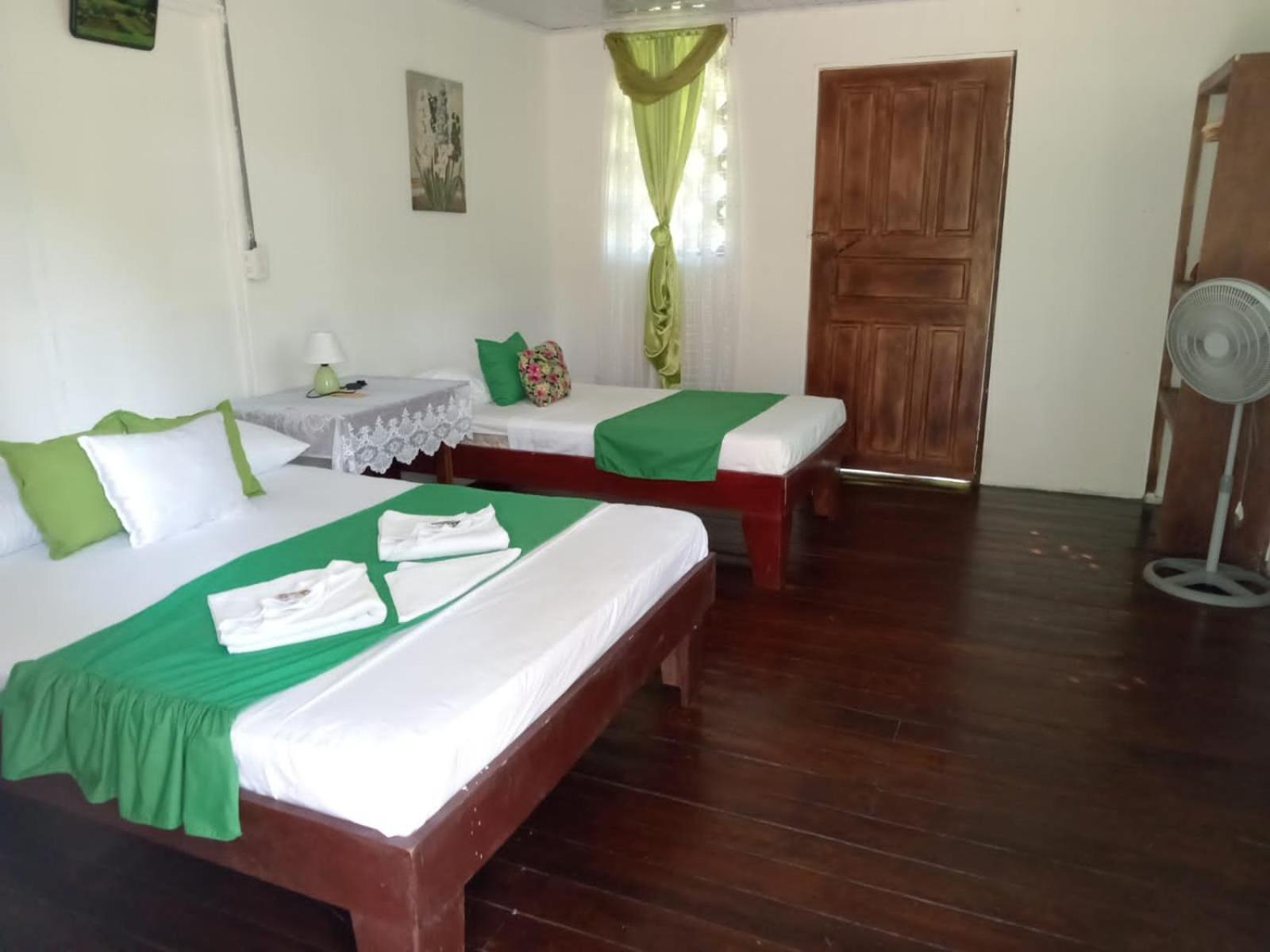 All Rankins Eco-Lodge トルトゥゲーロ 部屋 写真
